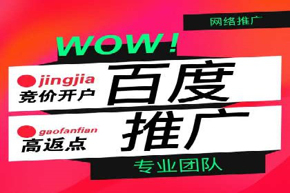 行业领先企业如何运用SEM运营推广